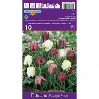 Szachownica kostkowata (Fritillaria), mieszanka interface.image 1