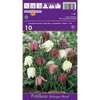 Szachownica kostkowata (Fritillaria), mieszanka interface.image 2