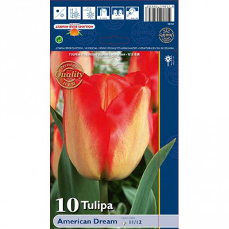 Tulipan Darwina American Dream interface.image 5
