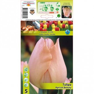 Tulipan Apricot Beauty interface.image 3