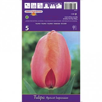 Tulipan Darwina Apricot Impression interface.image 1