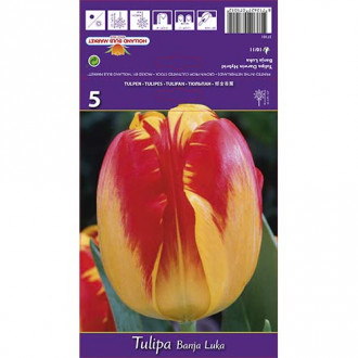 Tulipan Darwina Banja Luka interface.image 6