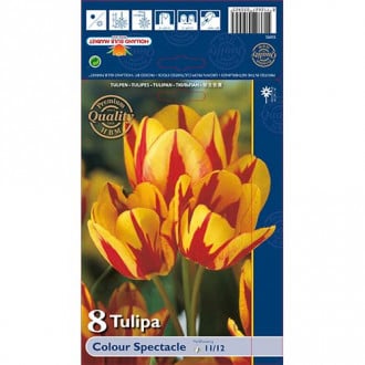 Tulipan Colour Spectacle interface.image 1