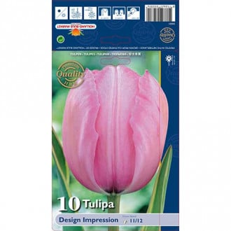 Tulipan Darwina Design Impression interface.image 2