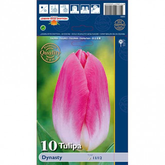 Tulipan Triumph Dynasty interface.image 4