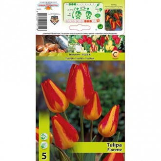 Tulipan Florette interface.image 6
