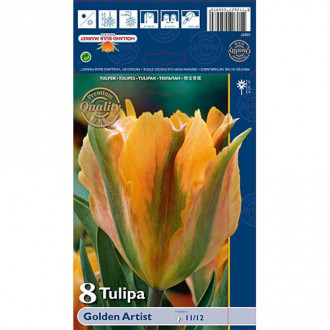 Tulipan Viridiflora Golden Artist interface.image 3