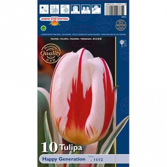 Tulipan Triumph Happy Generation interface.image 1