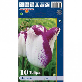 Tulipan Triumph Hotpants interface.image 1