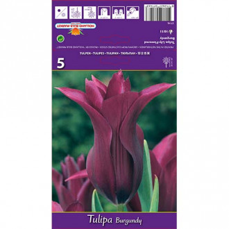 Tulipan liliokształtny Burgundy interface.image 3