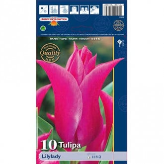 Tulipan liliokształtny Lilylady interface.image 5