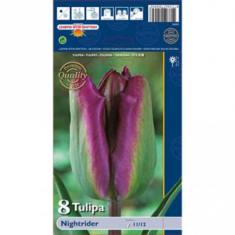 Tulipan Viridiflora Night Rider interface.image 2
