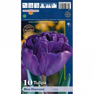 Tulipan pełny Blue Diamond interface.image 5