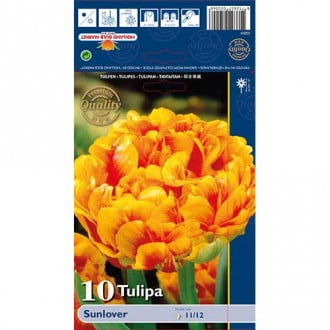 Tulipan pełny Sunlover interface.image 4