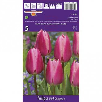 Tulipan Triumph Pink Surprise interface.image 4