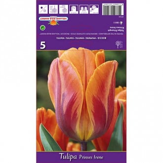 Tulipan Prinses Irene interface.image 5