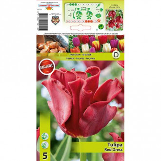 Tulipan Triumph Red Dress interface.image 1