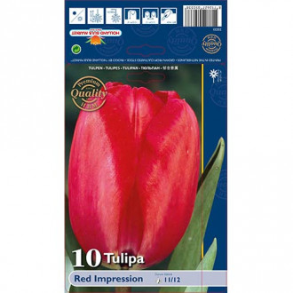 Tulipan Darwina Red Impression interface.image 4