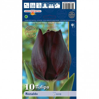 Tulipan Triumph Ronaldo interface.image 1