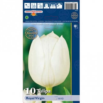 Tulipan Triumph Royal Virgin interface.image 2