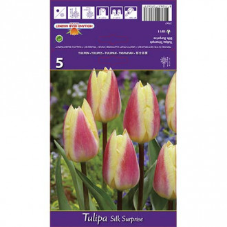 Tulipan Triumph Silk Surprise interface.image 2