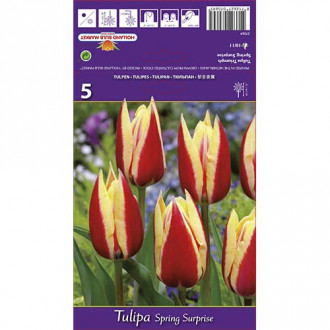 Tulipan Triumph Spring Surprise interface.image 3