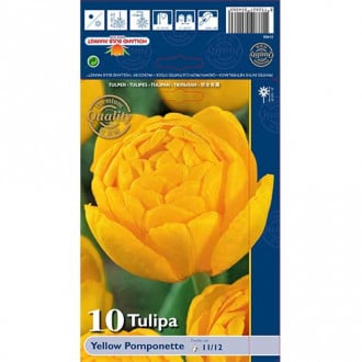 Tulipan pełny Yellow Pomponette interface.image 5