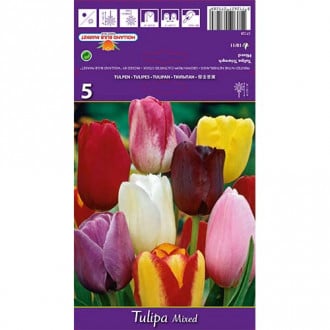 Tulipan Triumph, mix kolorów interface.image 1