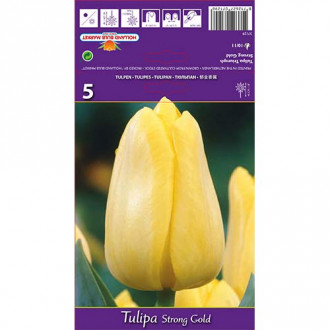 Tulipan Triumph Strong Gold interface.image 2