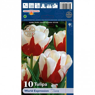 Tulipan World Expression interface.image 4