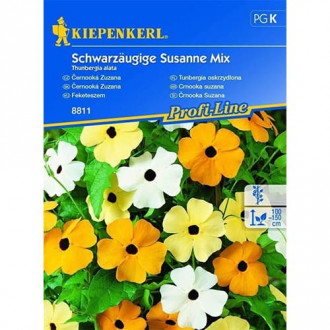 Tunbergia oskrzydlona Susanne, mix interface.image 4