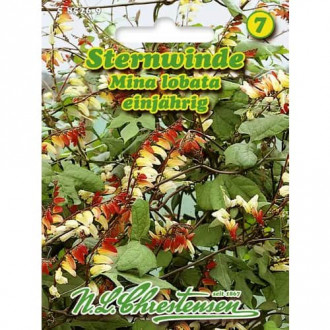 Wilec klapowany (Mina)