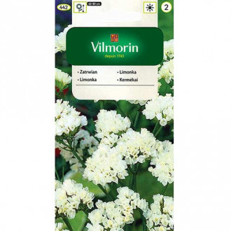 Zatrwian wrębny biały Vilmorin interface.image 11