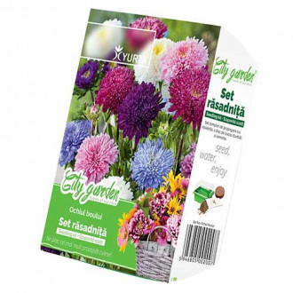 Zestaw nasion Astra interface.image 14