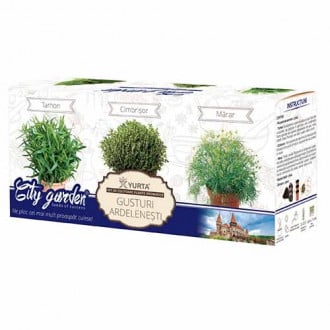 Zestaw nasion roślin przyprawowych Transylwańskie smaki interface.image 4