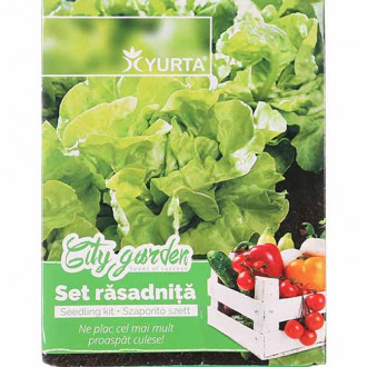 Zestaw nasion Sałaty głowiastej interface.image 4