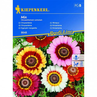 Złocień (Chrysanthemum), mix interface.image 6