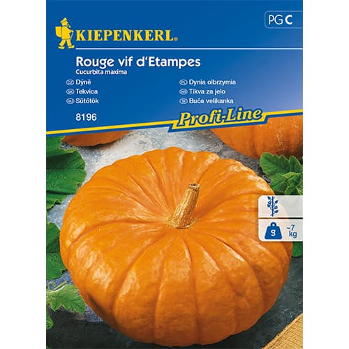 Dynia Rouge vif d'Etampes interface.image 1 interface.art 86472