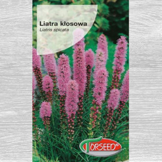 Liatra kłosowa biała interface.image 1 interface.art 77558