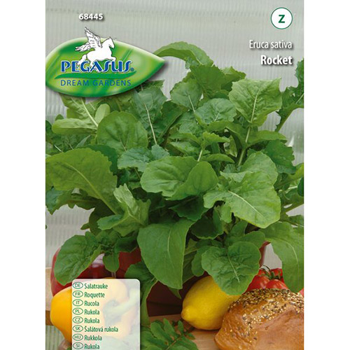 Ogórek sałatkowy Rocket Kiepenkerl interface.art zdjęcie 1 Ogórek sałatkowy Rocket Kiepenkerl interface.image 1 interface.art 96672