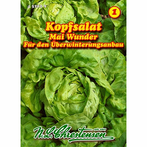 Salata glowiasta Mai Wunder interface.art zdjęcie 1 Salata glowiasta Mai Wunder interface.image 1 interface.art 96479