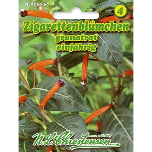 Kufea ognista interface.image 1 interface.art 96412