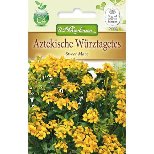 Aksamitka Sweet Mace interface.image 1 interface.art 78942