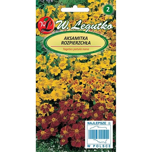 Aksamitka rozpierzchła Bonanza, mix interface.art zdjęcie 1 Aksamitka rozpierzchła Bonanza, mix interface.image 1 interface.art 69658