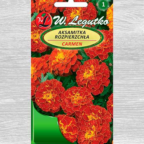 Aksamitka rozpierzchła Carmen Legutko interface.image 1 interface.art 69550