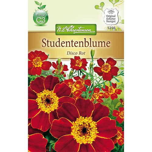 Aksamitka Disco Rot interface.image 1 interface.art 78745