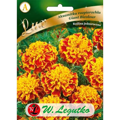 Aksamitka Giant Bicolour interface.art zdjęcie 1 Aksamitka Giant Bicolour interface.image 1 interface.art 78650