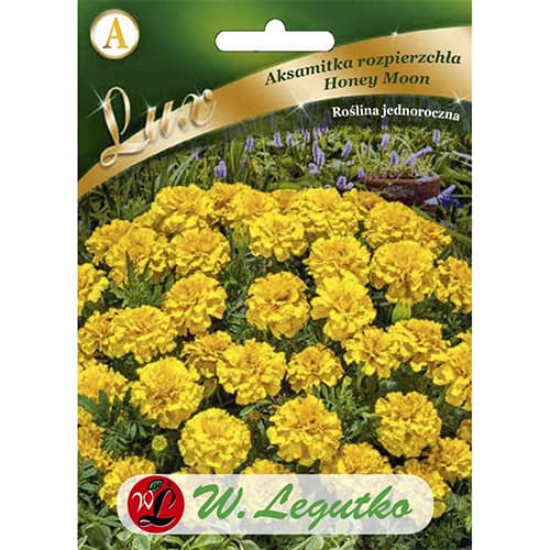 Aksamitka rozpierzchła Honey Moon interface.image 1 interface.art 86737