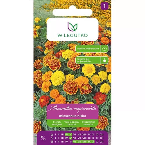 Aksamitka rozpierzchła, mix kolorow interface.image 1 interface.art 69551