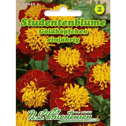 Aksamitka Goldkopfchen interface.image 1 interface.art 86207